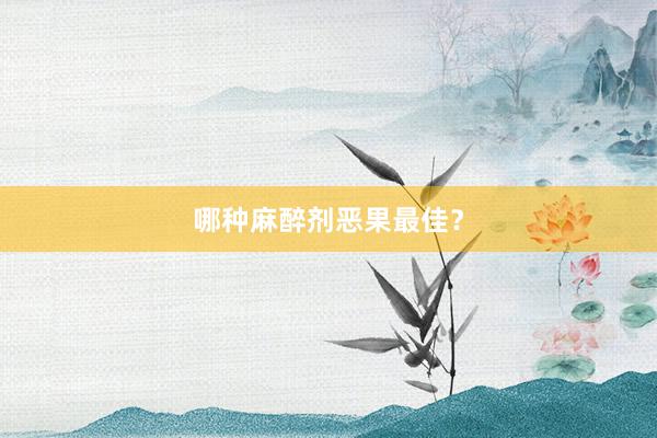 哪种麻醉剂恶果最佳？
