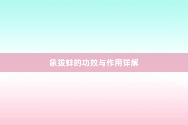 象拔蚌的功效与作用详解