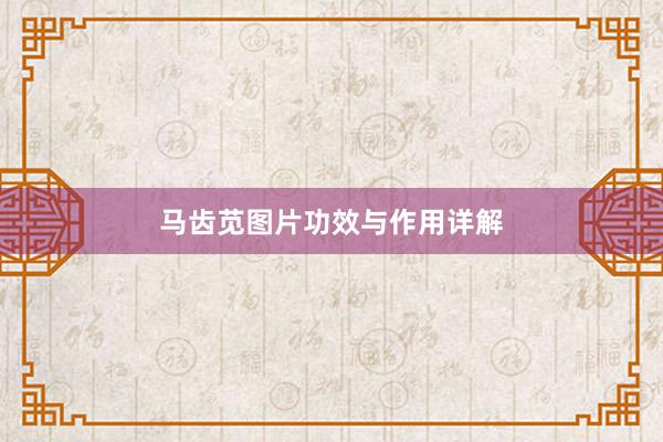 马齿苋图片功效与作用详解