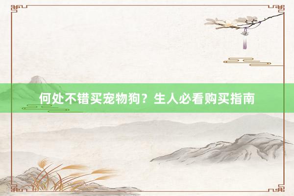 何处不错买宠物狗？生人必看购买指南