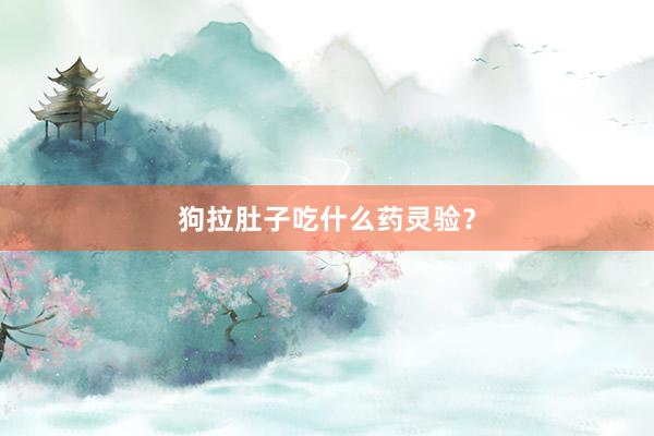 狗拉肚子吃什么药灵验？