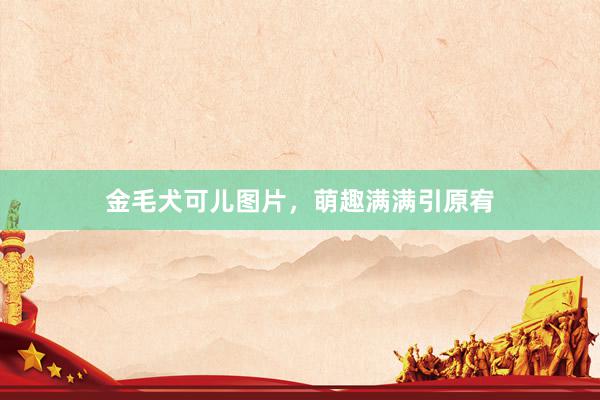 金毛犬可儿图片，萌趣满满引原宥